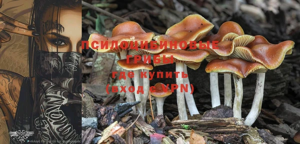 ешки Баксан